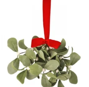 12" Lambs Ear Mistletoe Kissing Ball Ornament