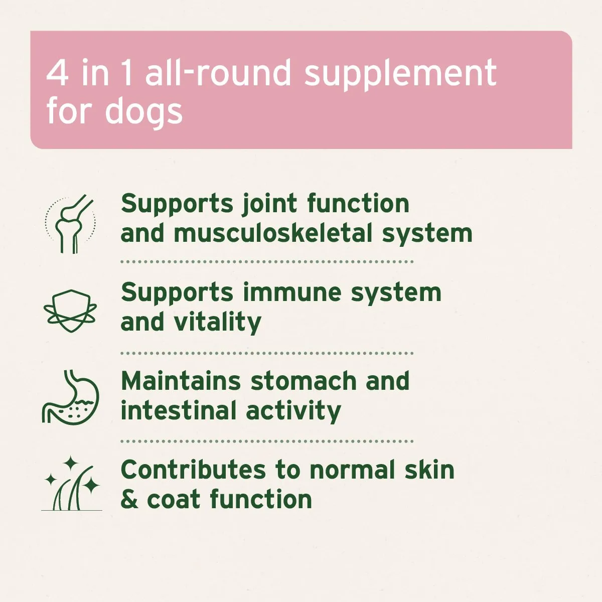 4in1 Complete for Dogs 250g - Advanced Health Supplement