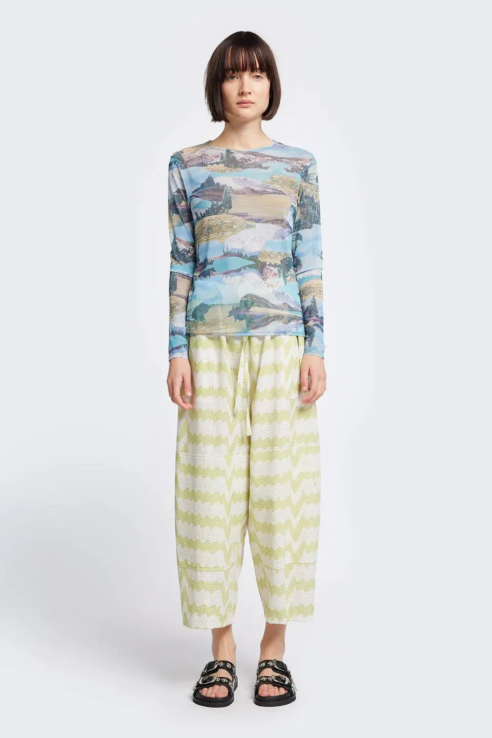 Aratus Pant in Pale Green Print