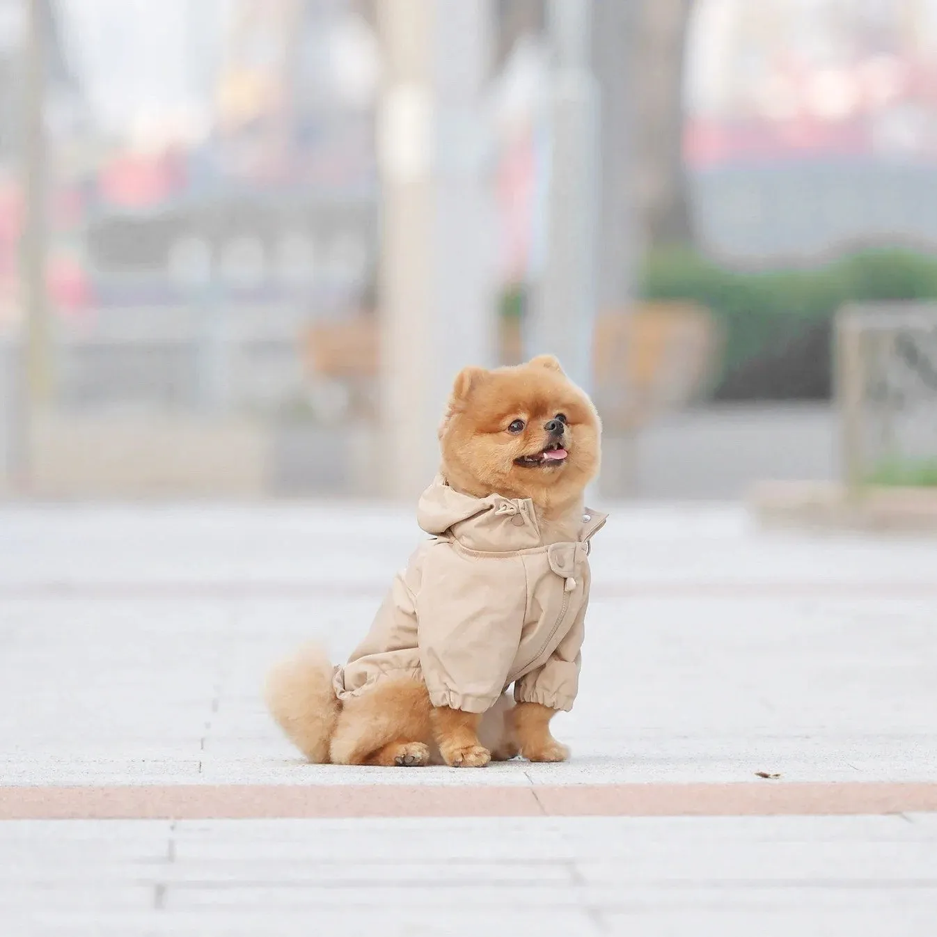 Brooklyn Dog Raincoat