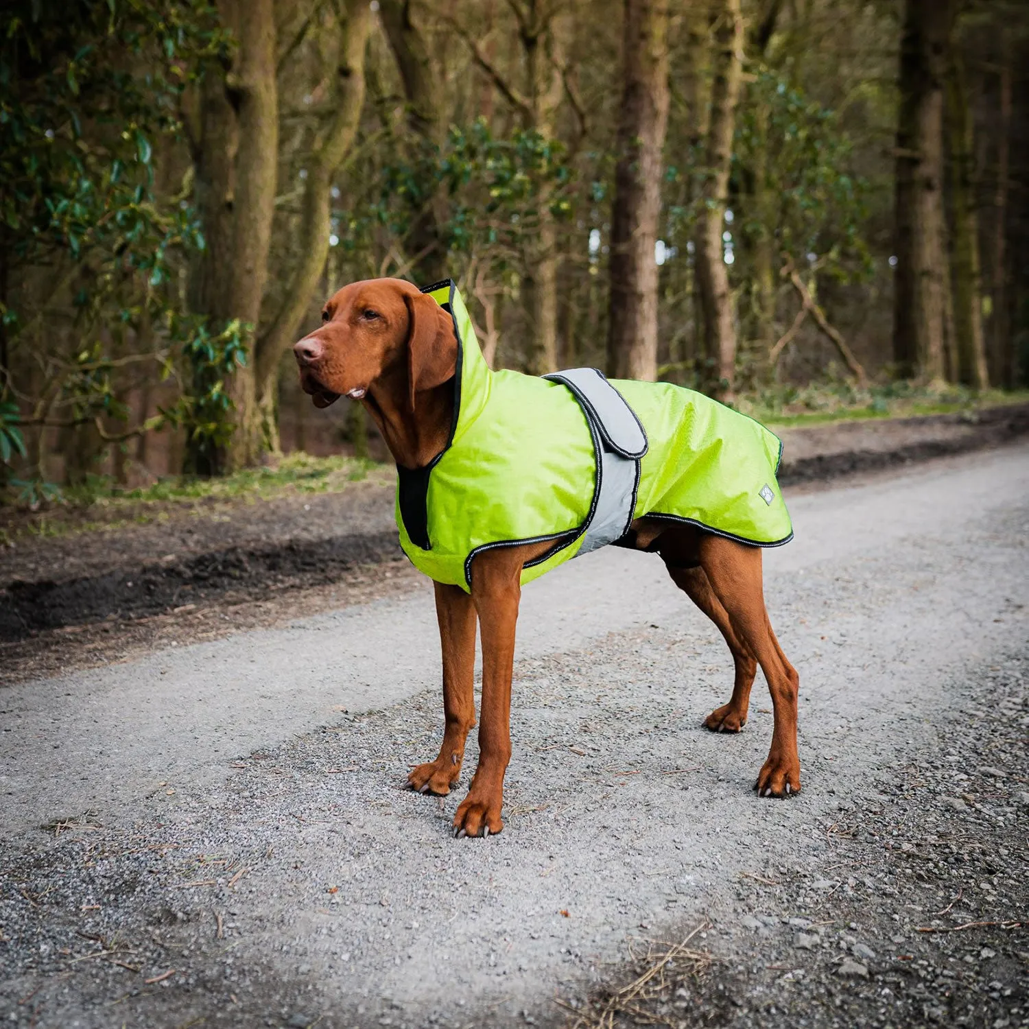 Danish Design Ultimate 2 In 1 Dog Coat