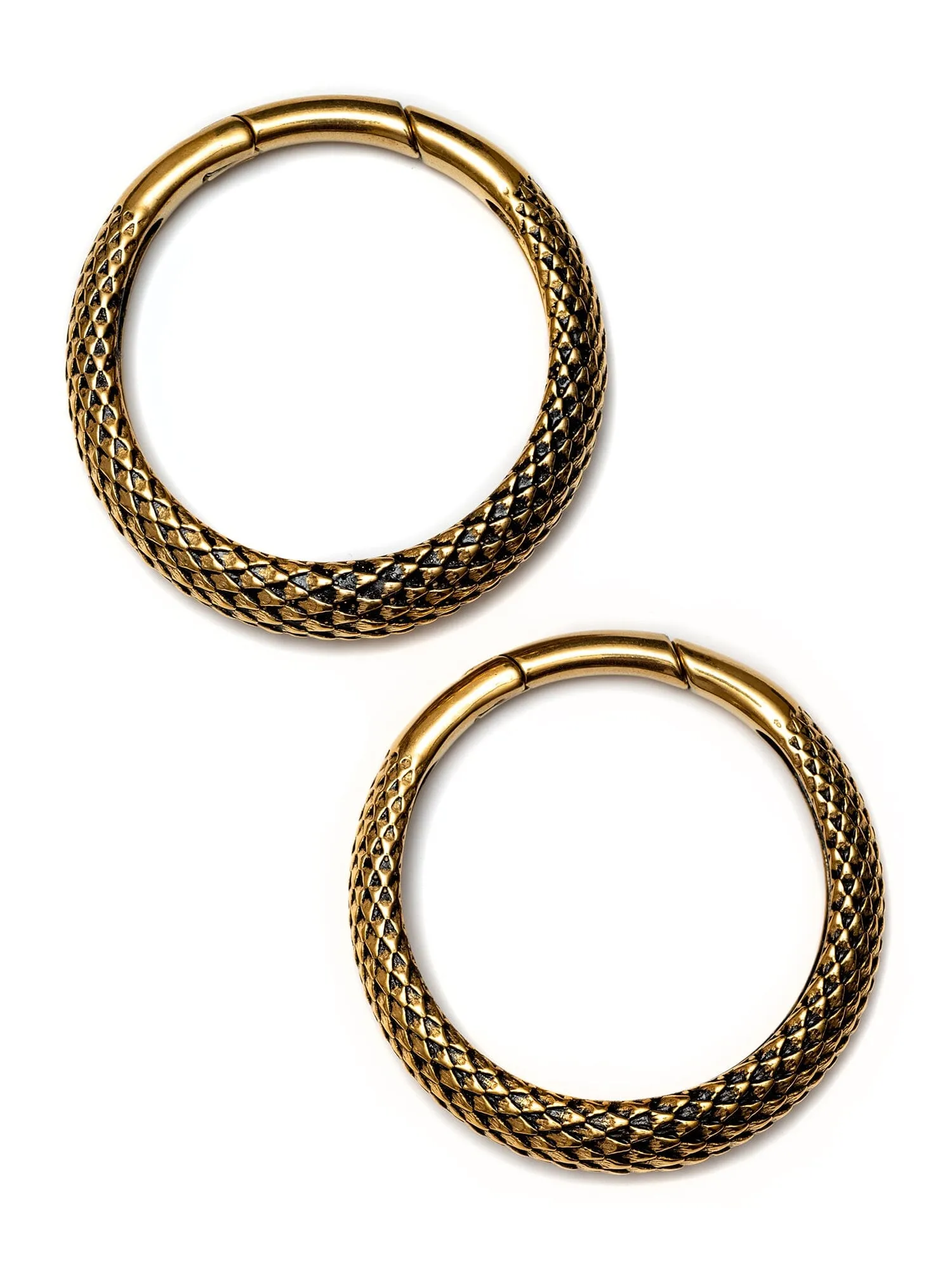 Gold Snakeskin Big Hoop Steel Clicker Hangers