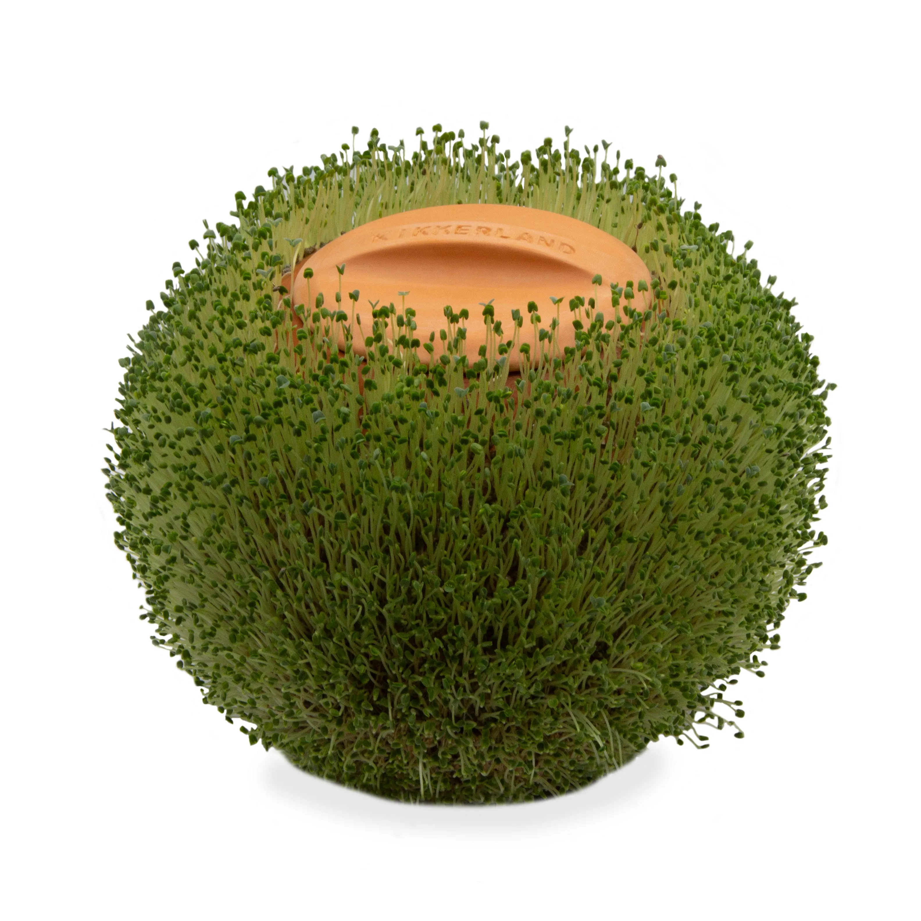 Green Orb Terracotta Planter