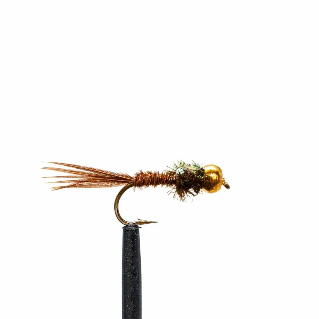 Jackson Hole Fly Company Loaded Foam Fly Box - Standard Nymph