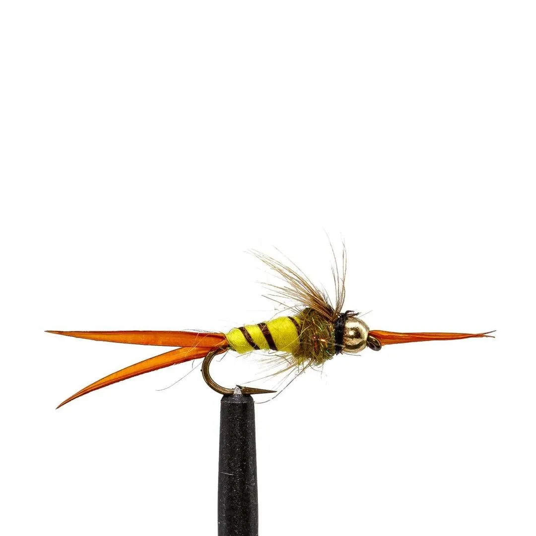 Jackson Hole Fly Company Loaded Foam Fly Box - Standard Nymph