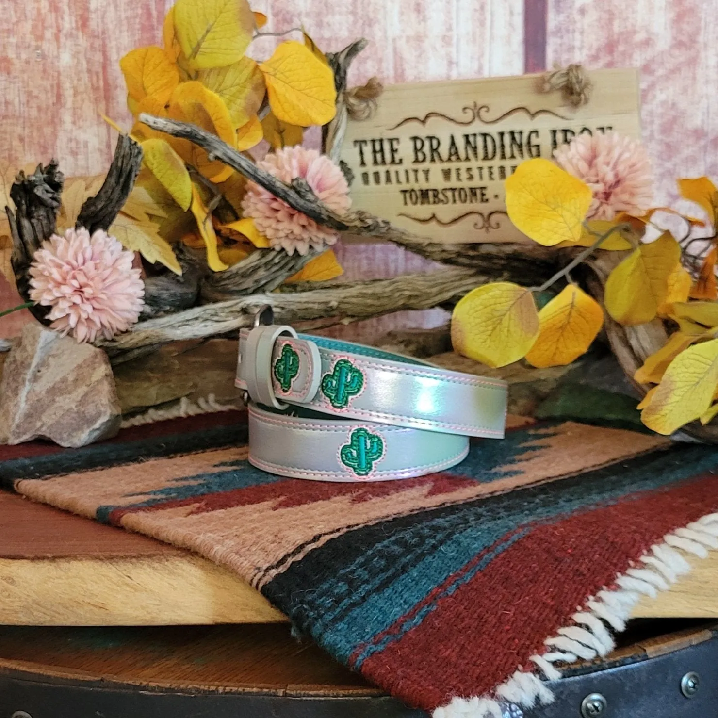 Kids' Iridecsent Saguaro Belt by Catchfly 23201BE2