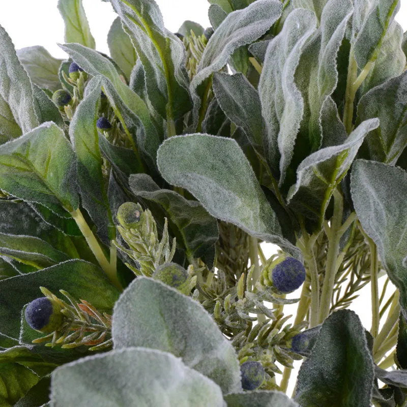 Lamb's Ear, Protea & Euphorbia in Glass 22"H