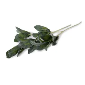 Lamb's Ear Spray, 25" L