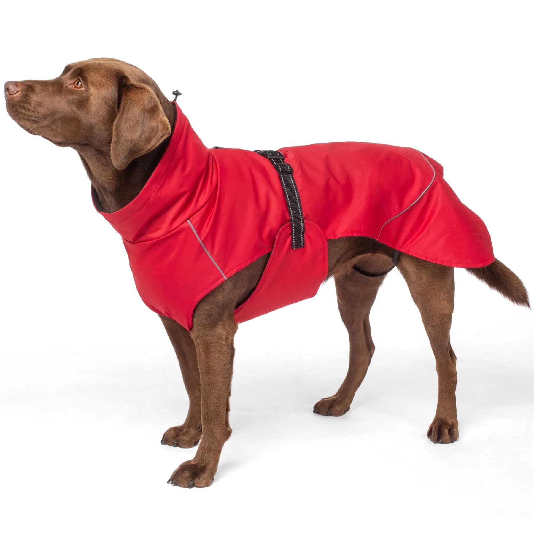 PRE-SALE - Bunty DownPaw Jacket