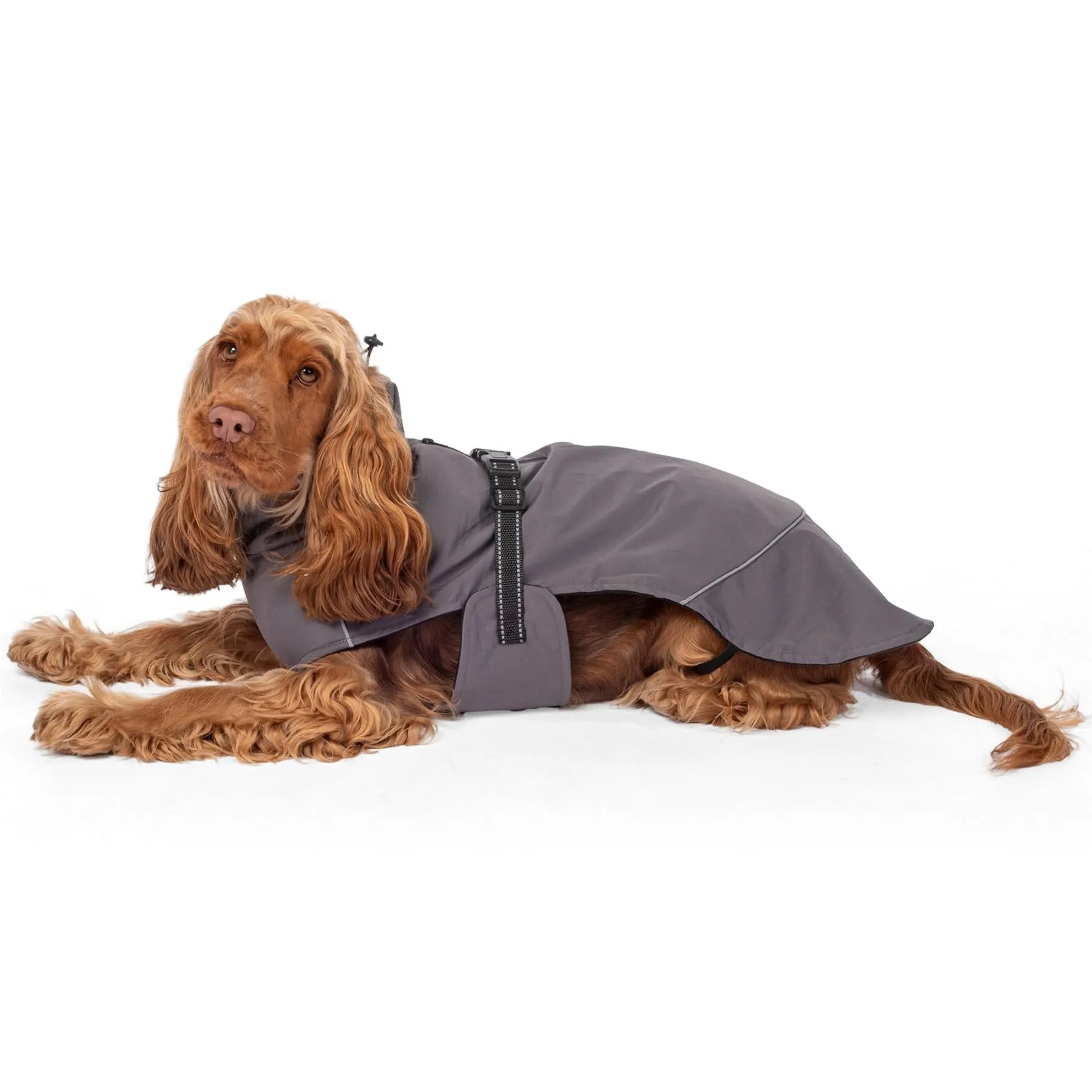 PRE-SALE - Bunty DownPaw Jacket