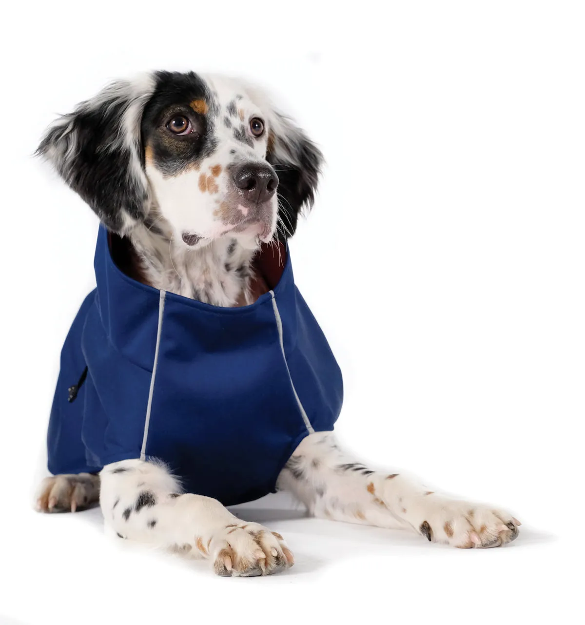 The Rain Paw, raincoat for Dogs, in Navy and Navy