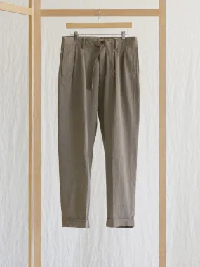 Two Pleats Travel Trousers - Beige x Gray