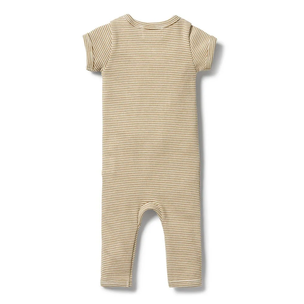 Wilson and Frenchy Organic Stripe Rib Zipsuit Leaf